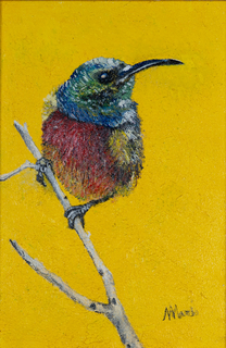 COLIBRI': UN TOCCO DI MAGIA — Marinella Pellegrino